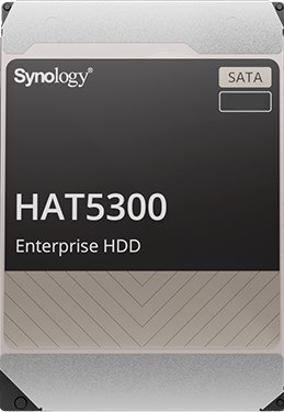 Synology HDD Enterprise (4TB; 3.5"; SATA)