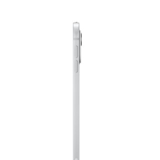 Apple iPad Pro 11-inch (M4) WiFi 256GB st. glass Silver